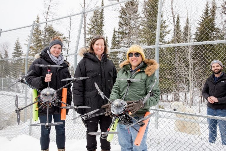 Multi Spectral Imaging Of Polar Bears At Cochrane Polar Bear Habitat