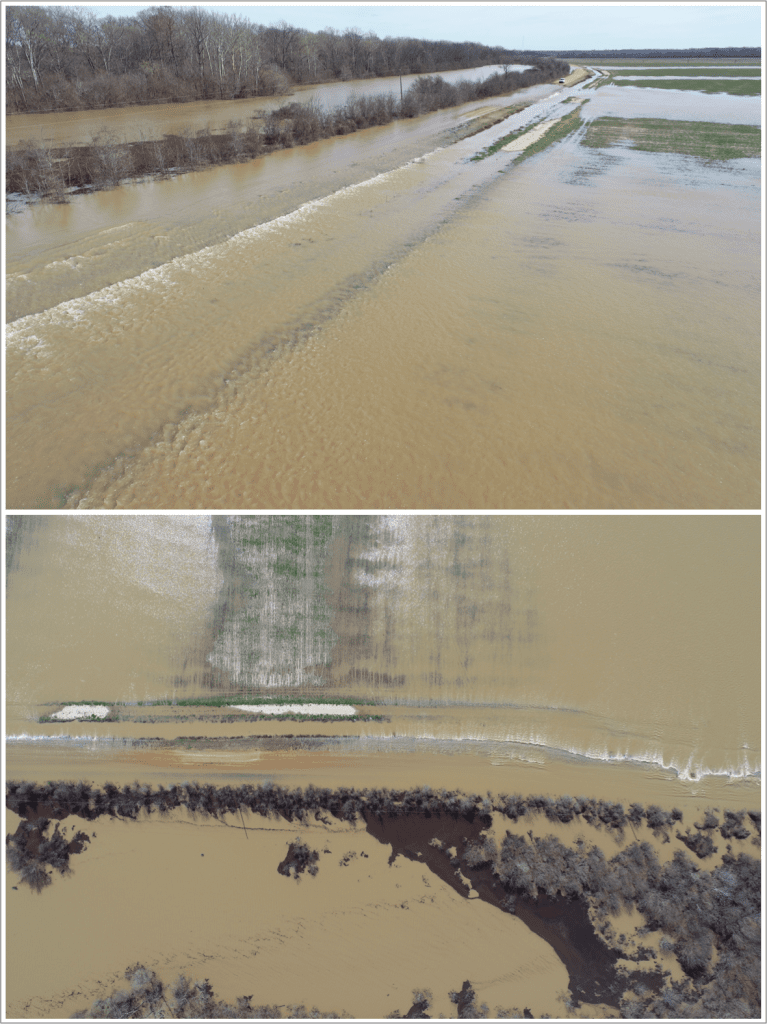 MS (bottom-left); and an example map mosaic of the Normalized Data Vegetation Index (NDVI) product from the processed aerial imagery (right; black showing bodies of water and land areas inundated by flooding). The NWS Lower Mississippi River Forecast Center obtained products like this in near real-time during an operational deployment of the SHOUT4Rivers-Phase 2 project to quickly identify areas of flooding and adjust forecasts and warnings accordingly.