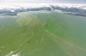 Aerial image of a western Lake Erie HAB looking southwest towards Maumee Bay on August 19