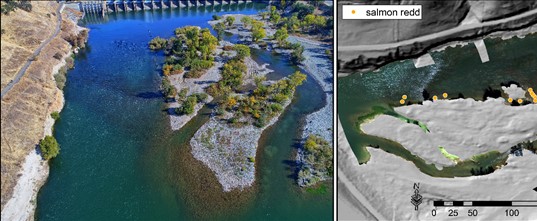 Example of mapped salmon spawning locations on the American River Study Site.